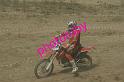 MOTO (17)